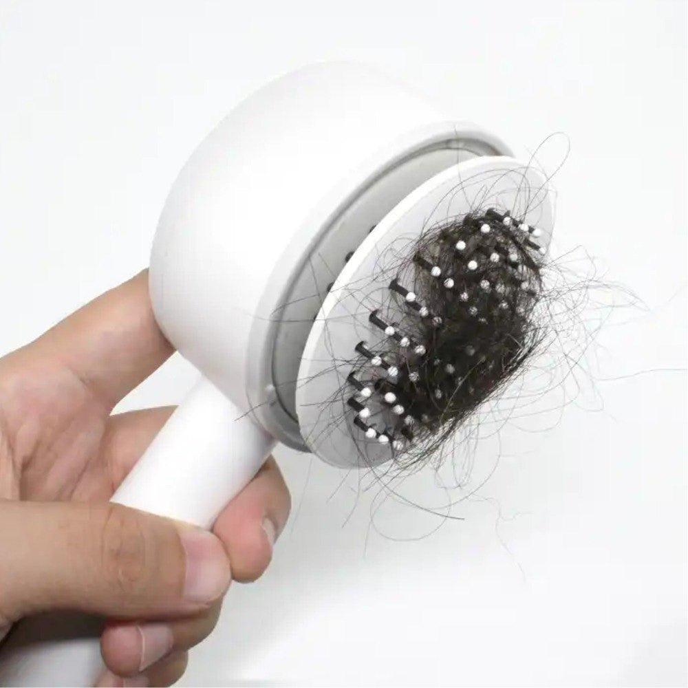 BrushCare Pro